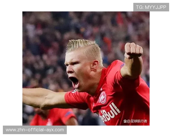 哈兰德禁区统治力在线