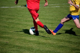 爱游戏电竞官网-篮球训练计划科学制定与执行效果评估，篮球训练计划制定与范例  第1张